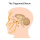 Trigeminal neuralgia
